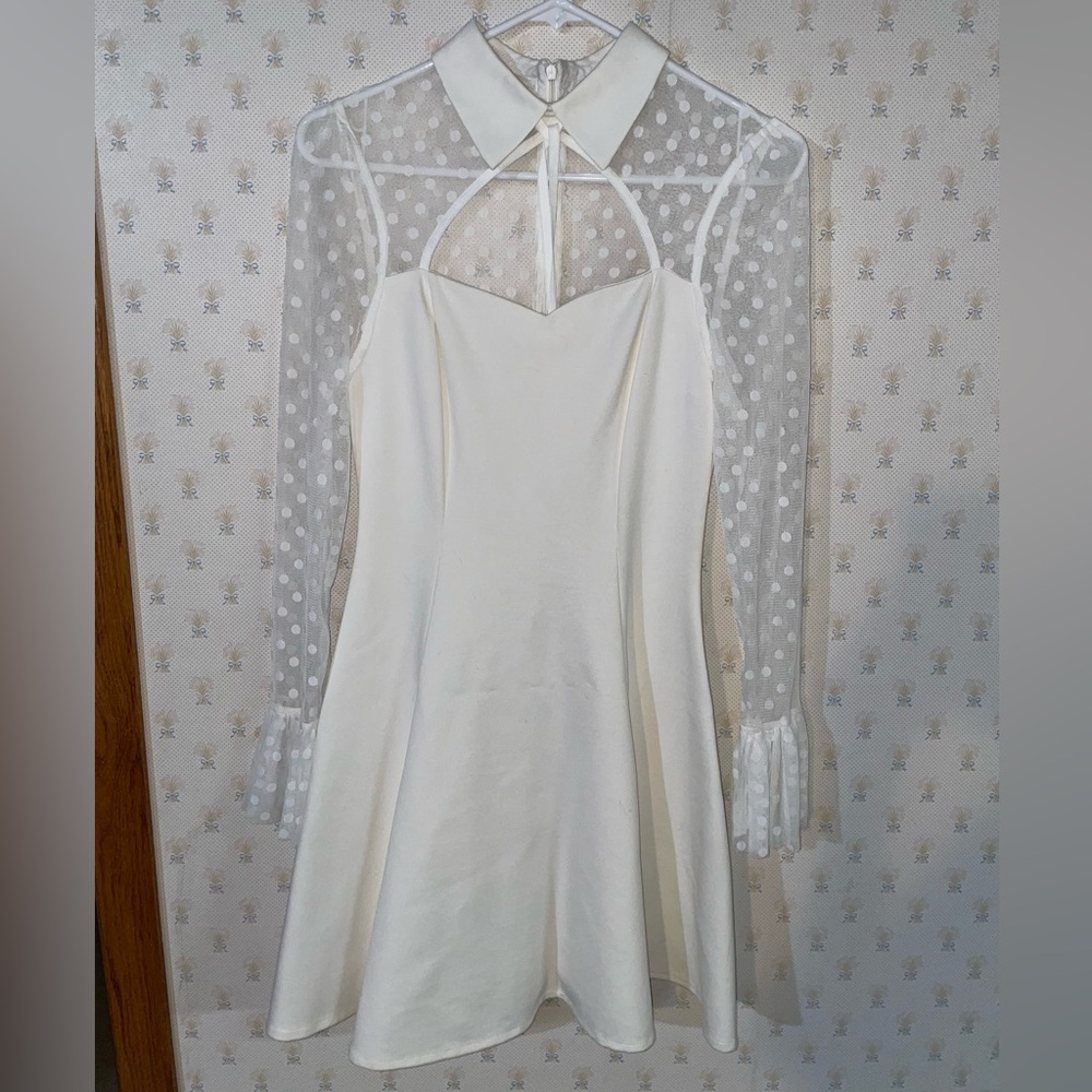 Chicwish White‎ Polka Dot Mesh Skater Dress